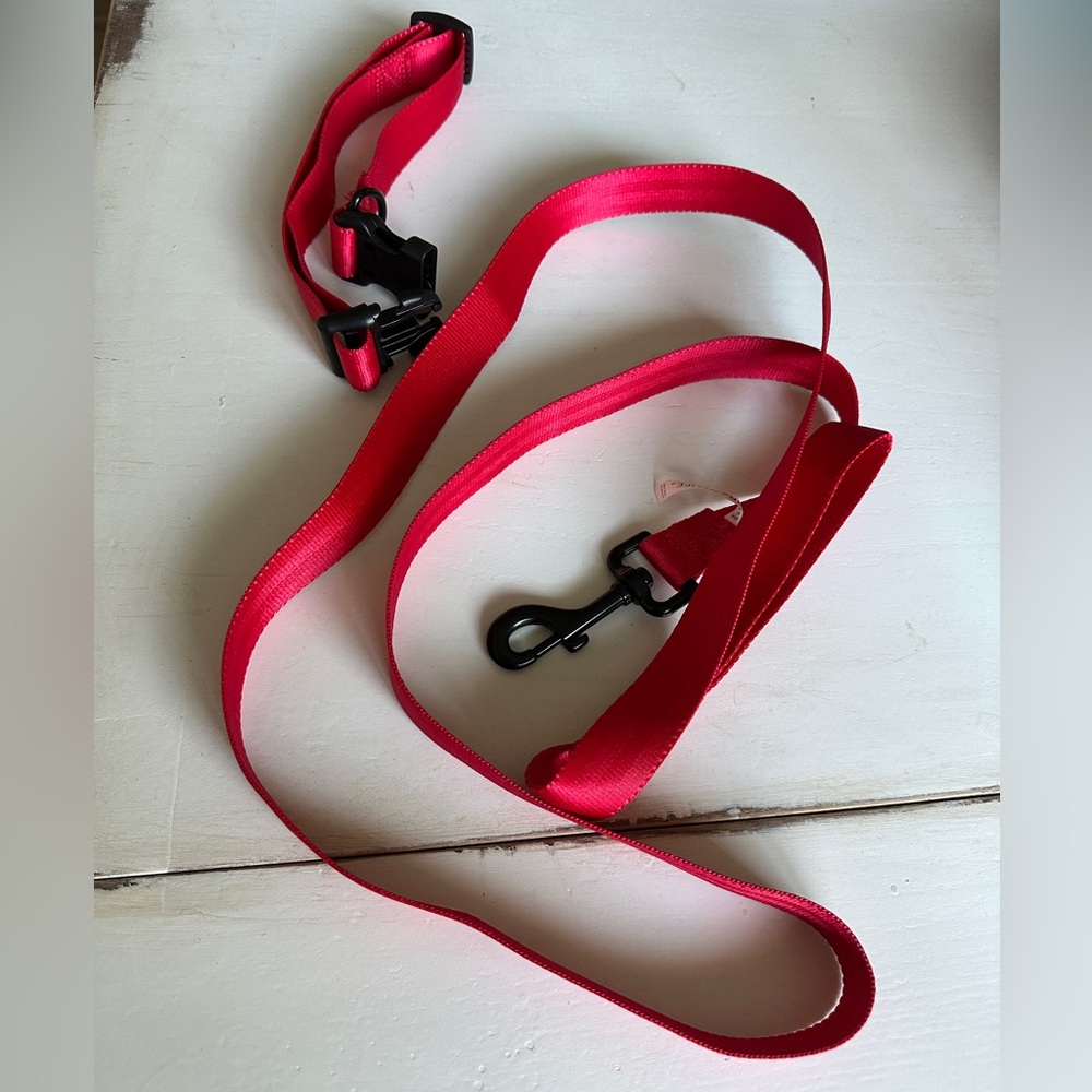 Bright Red Dog Leash Secure Clasps Durable Pet Walking Accessory Safety Lead